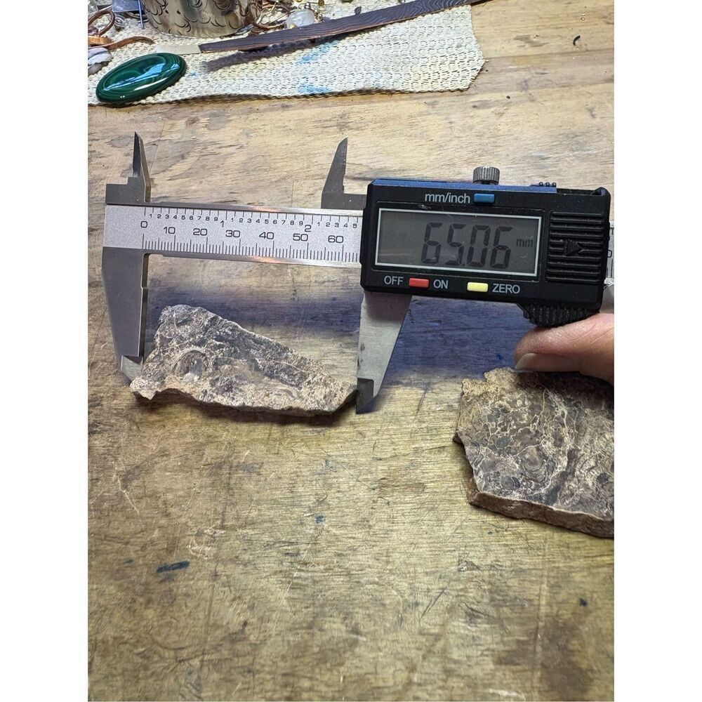 Petrified Wood Slabs (2) - Picture 7 of 8
